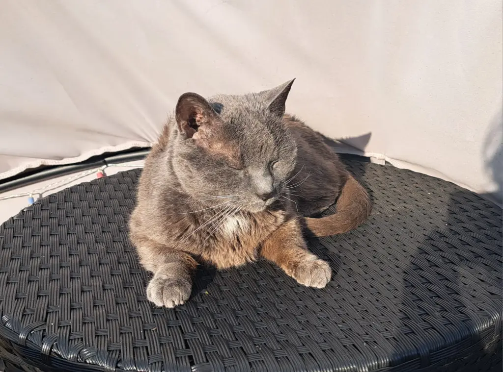 Andachtsbild von Heiko