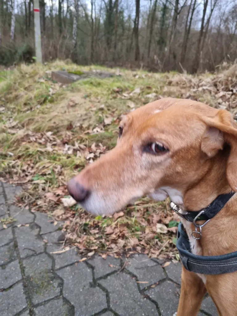 Danke für dich in meinem Leben🌟❤️🌟