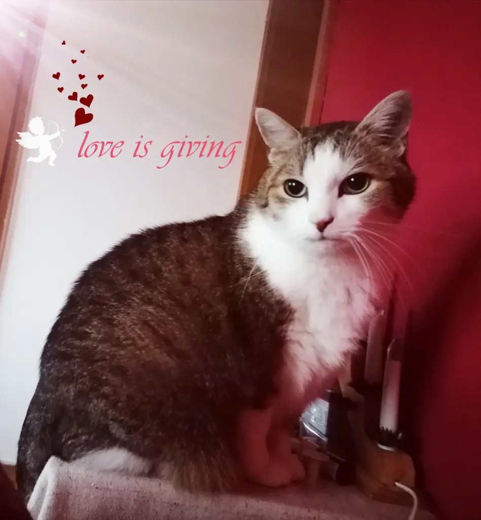 💜💖😘
