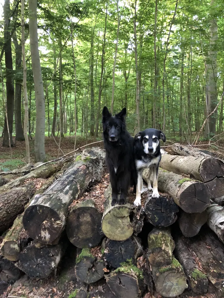 Arco mit seinem besten Kumpel „Marlo“