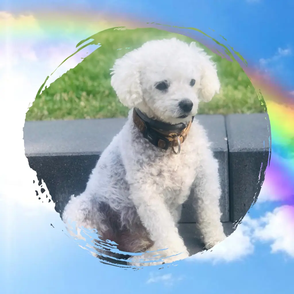 Condolence image of Marlene Barth