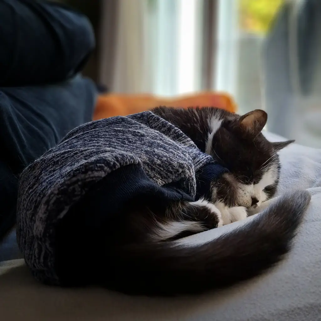 Andachtsbild von Mario Kargel