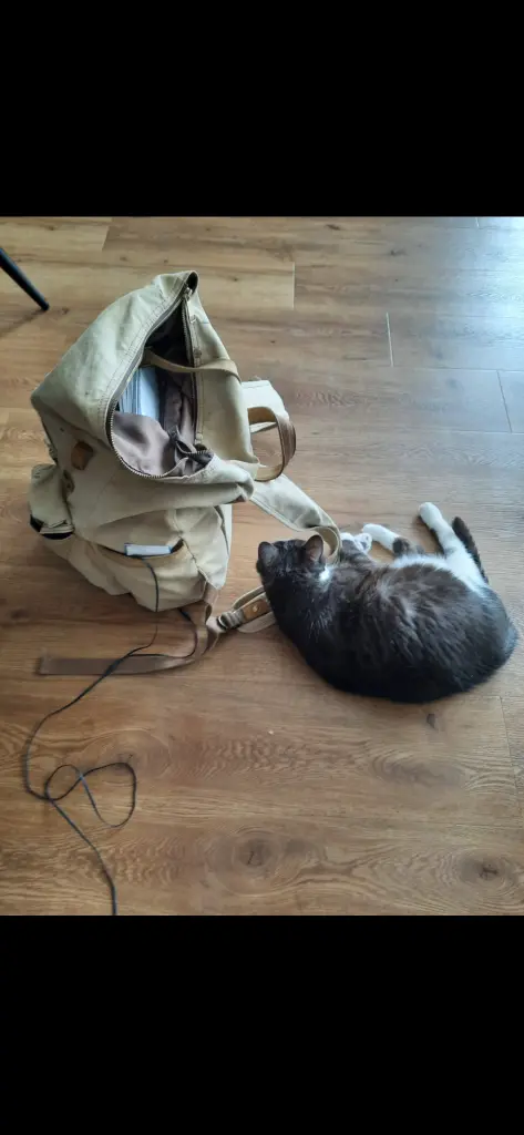 Andachtsbild von Julia Heermann