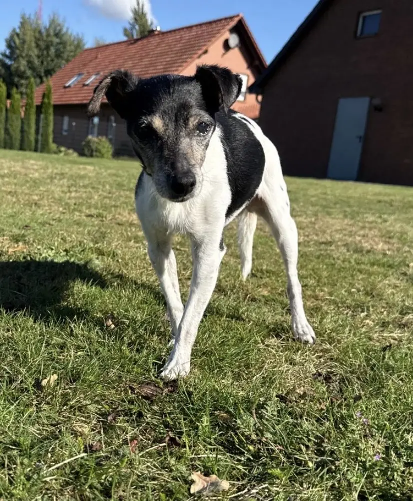 Andachtsbild von Alina Petersen-Scheper