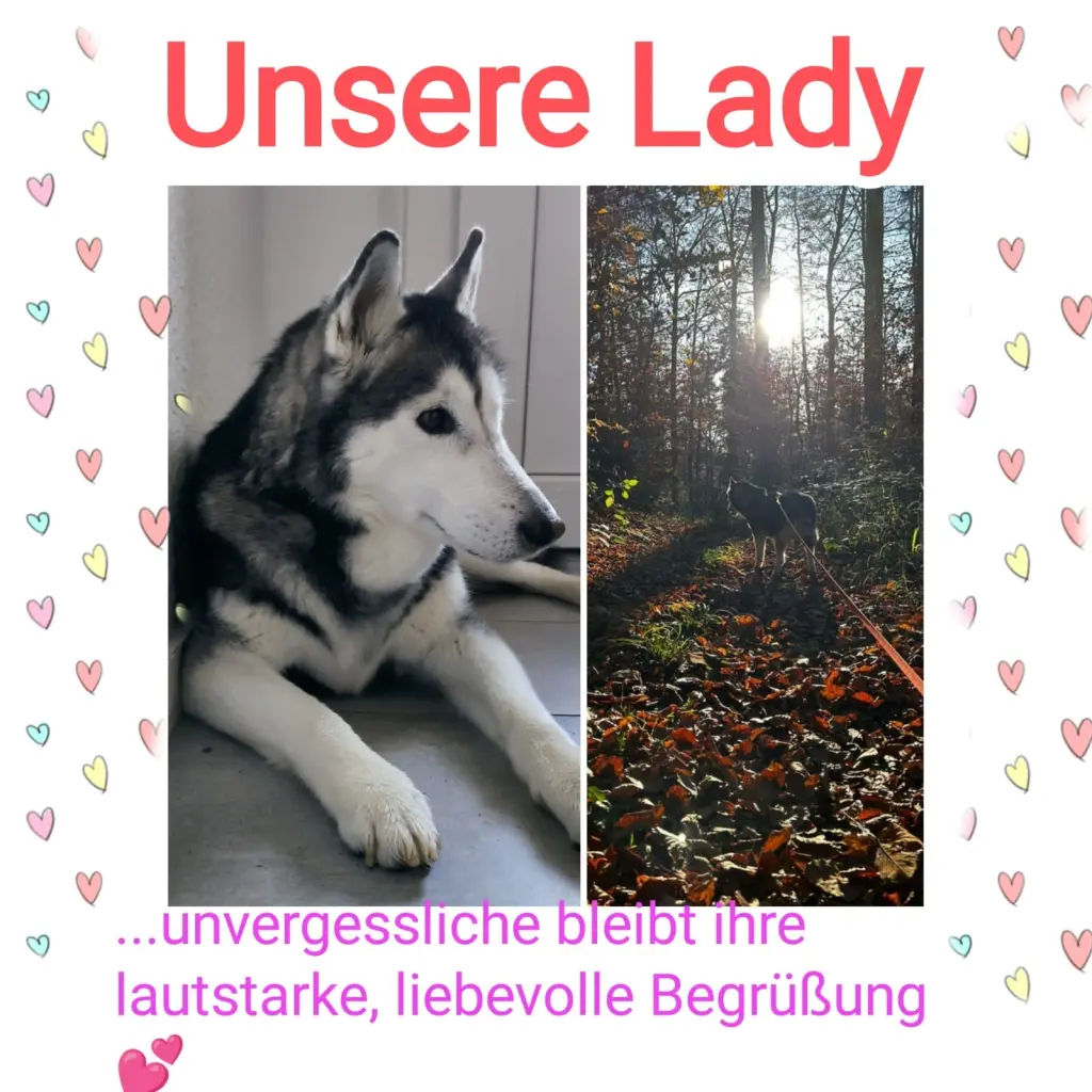 Andachtsbild von Jens und Kerstin Schneider