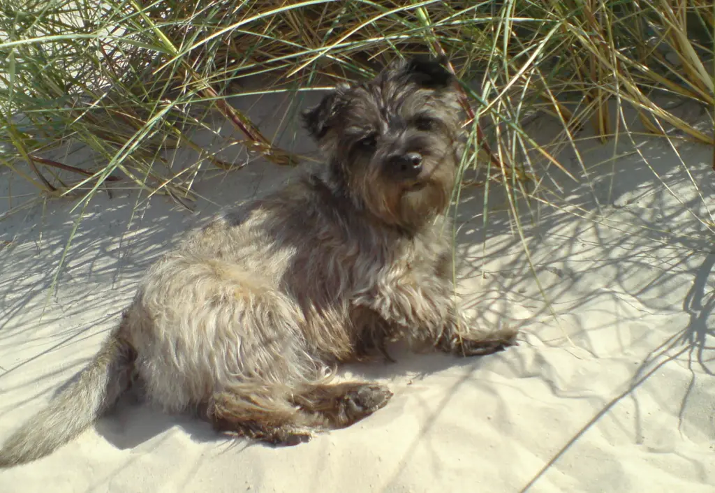 Condolence image of Gudrun