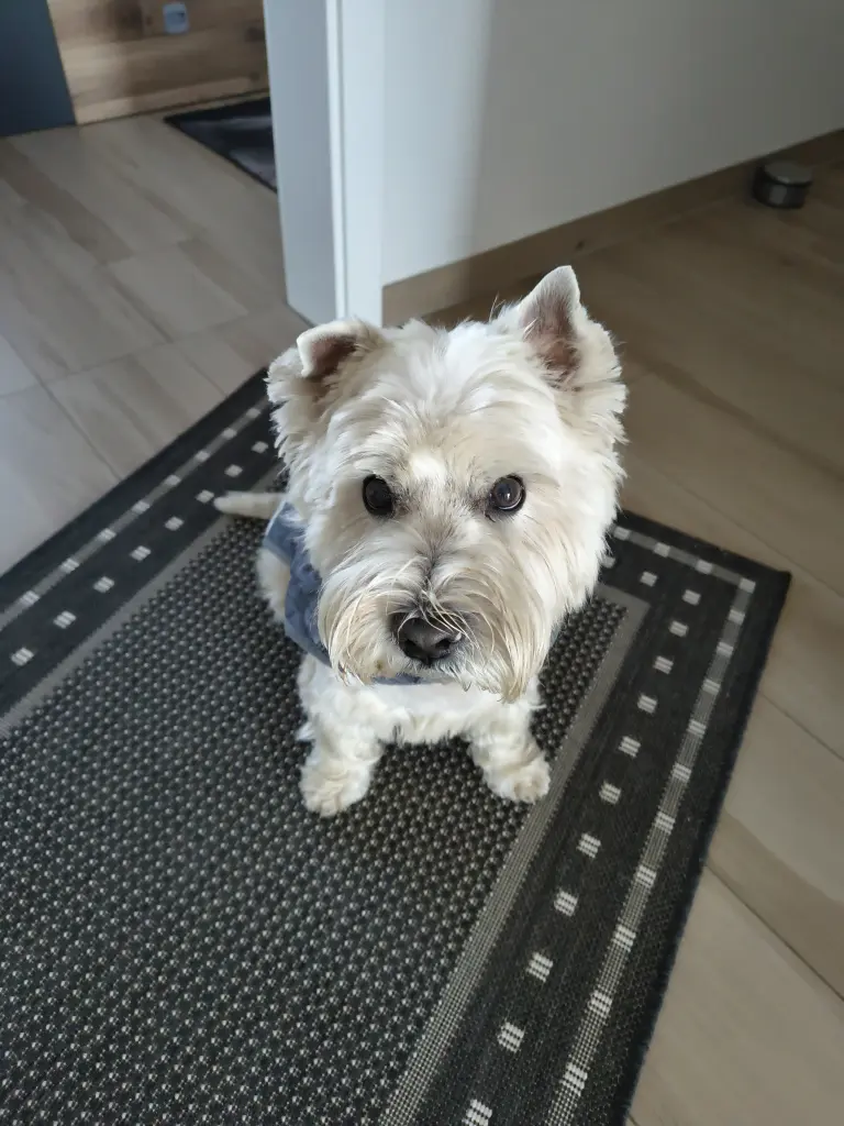 Andachtsbild von Monika Kasimir