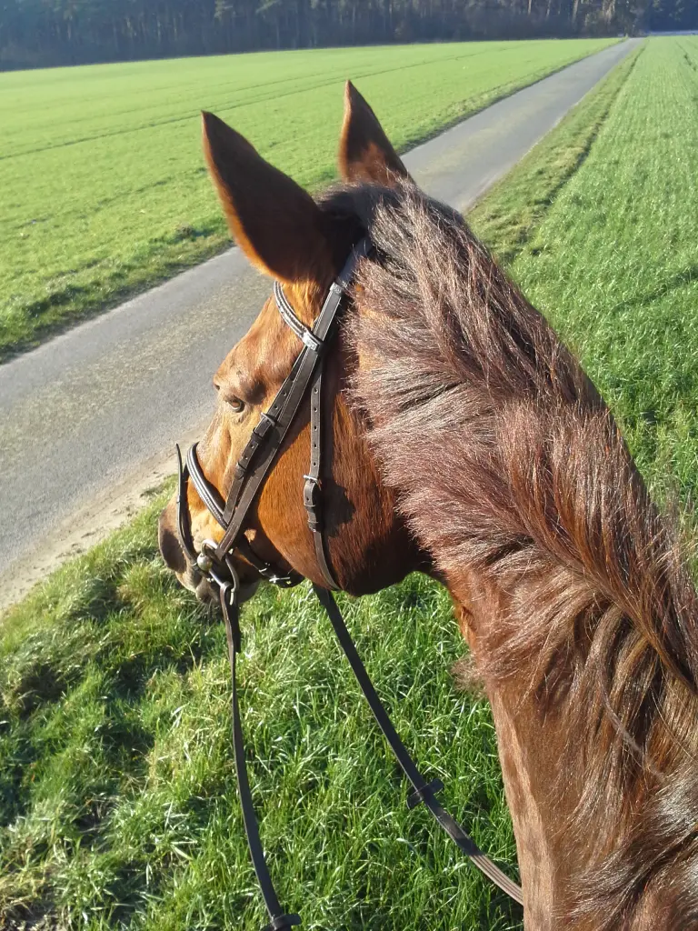 Andachtsbild von Annette und Luki