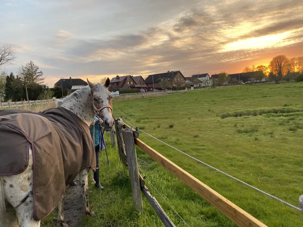 Bild von Magic Nazali