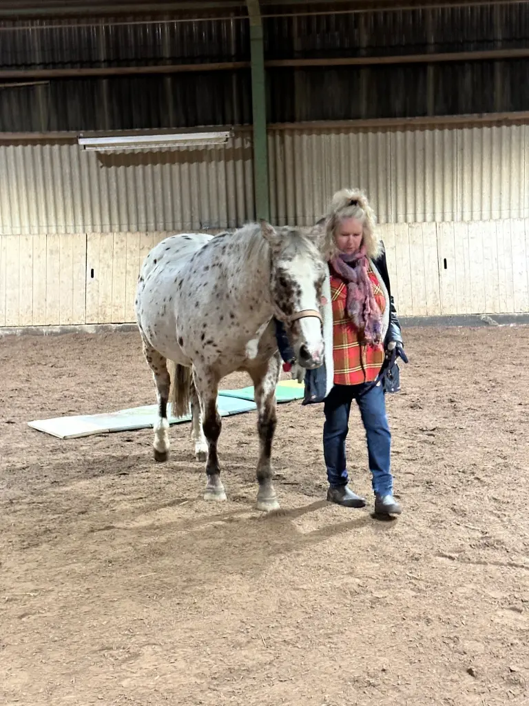 Bild von Magic Nazali