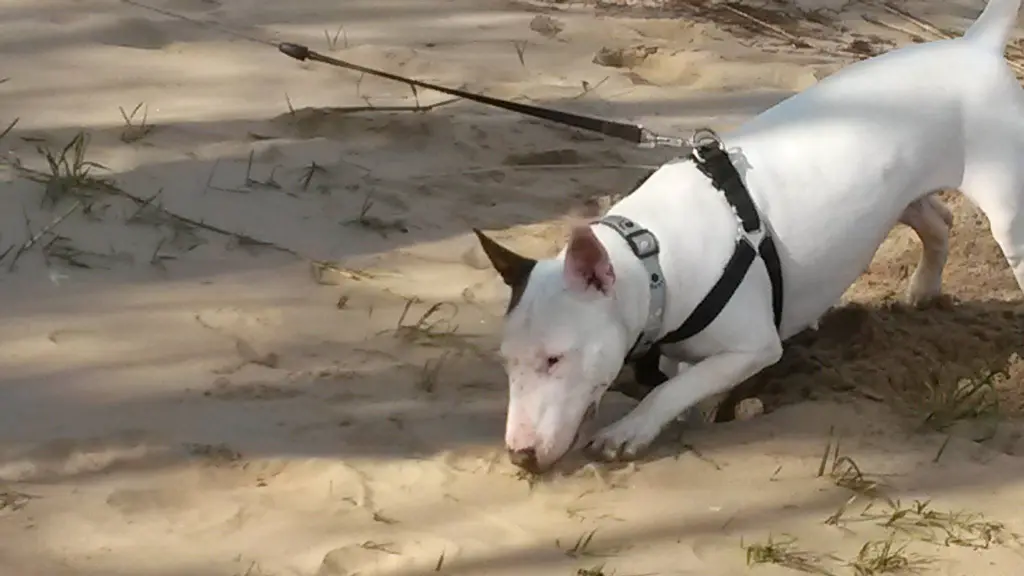 Andachtsbild von Tanja und Chris