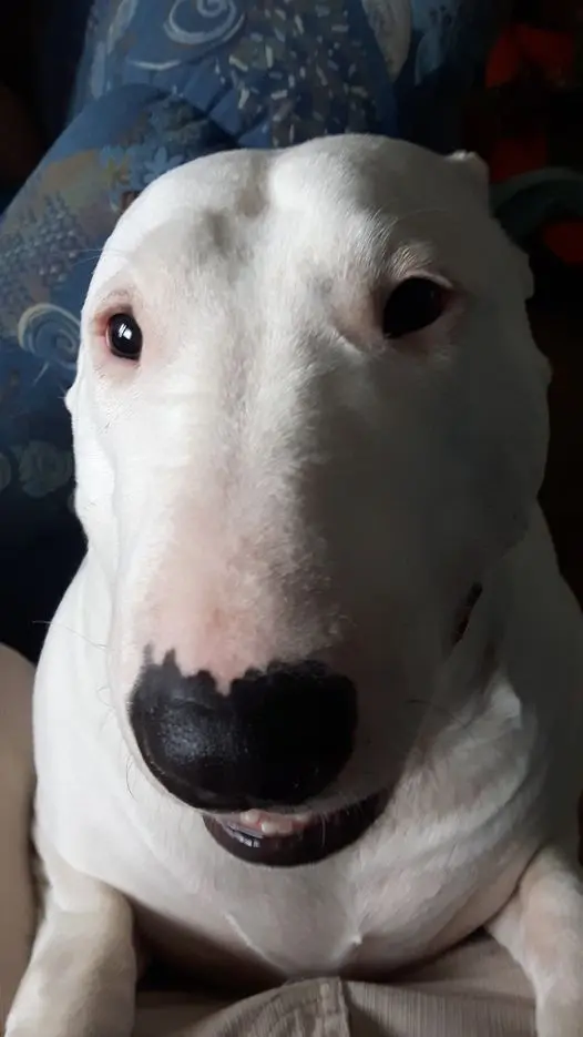 Andachtsbild von Chris und Tanja