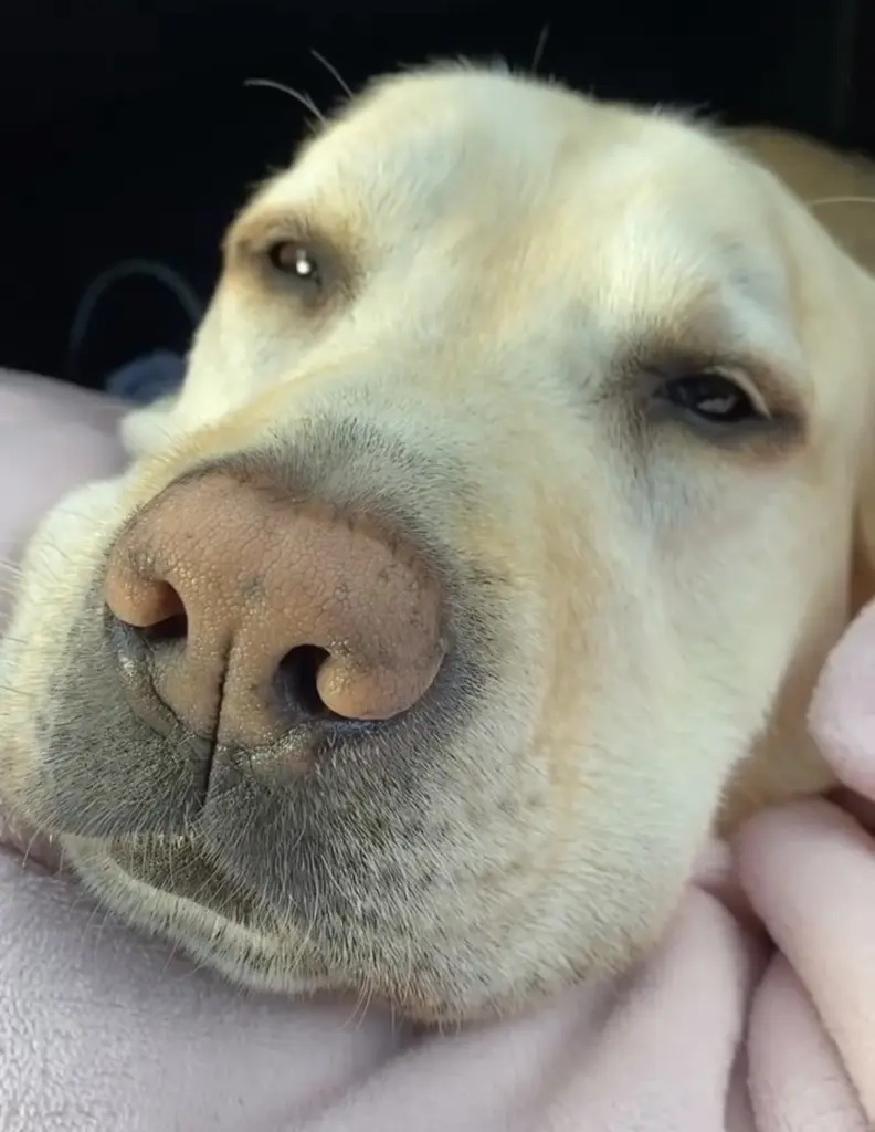 Andachtsbild von Angelina Schümer