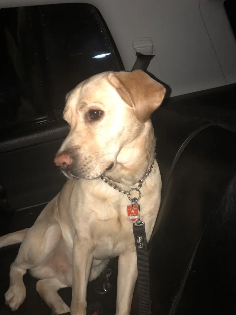 Andachtsbild von Pia