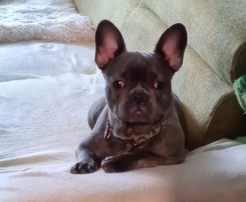 Andachtsbild von Ursula Breitenstein