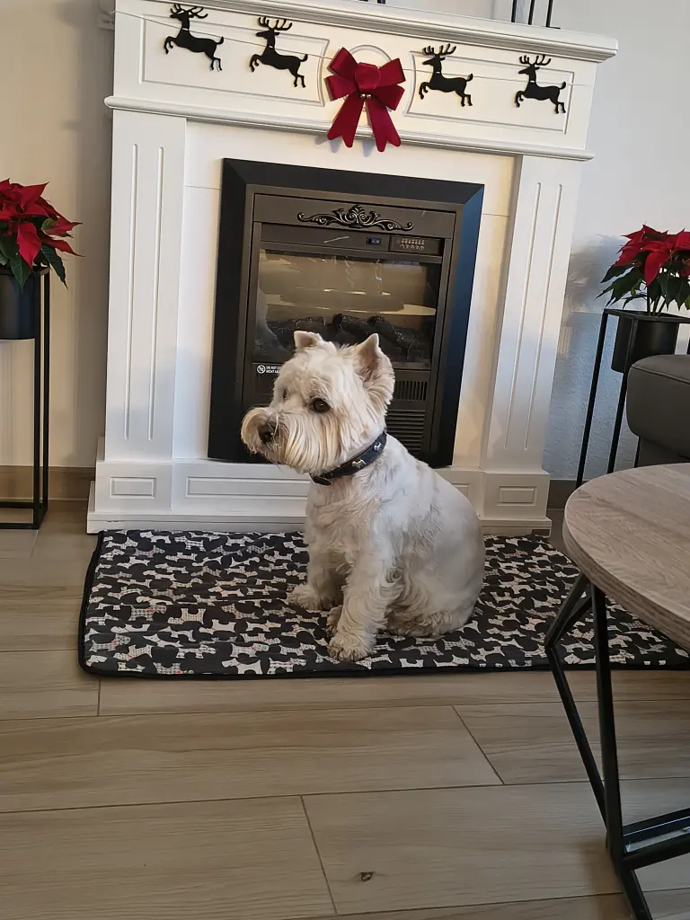 Andachtsbild von Monika Kasimir