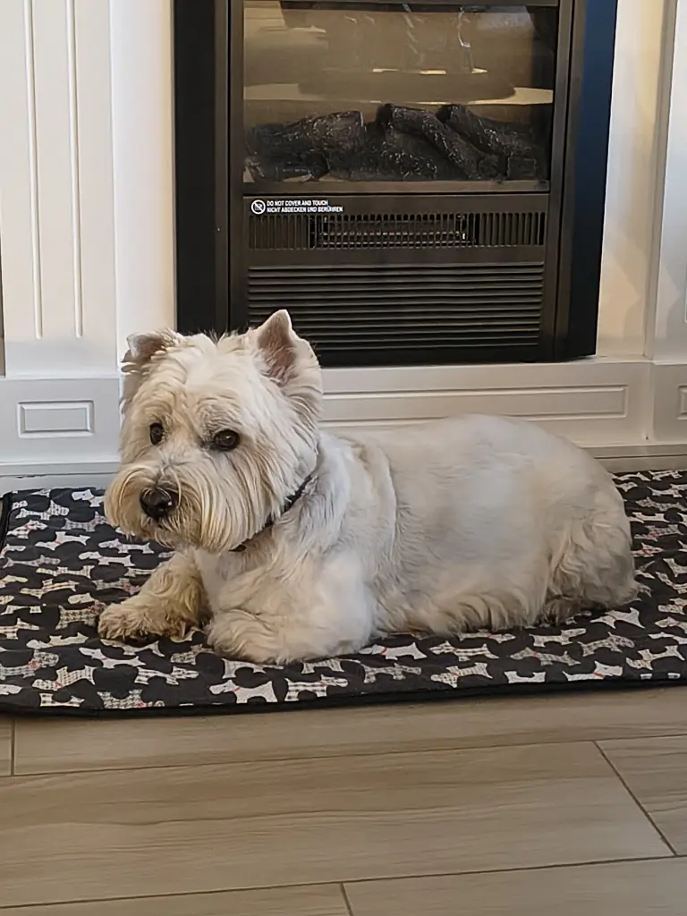 Andachtsbild von Monika Kasimir