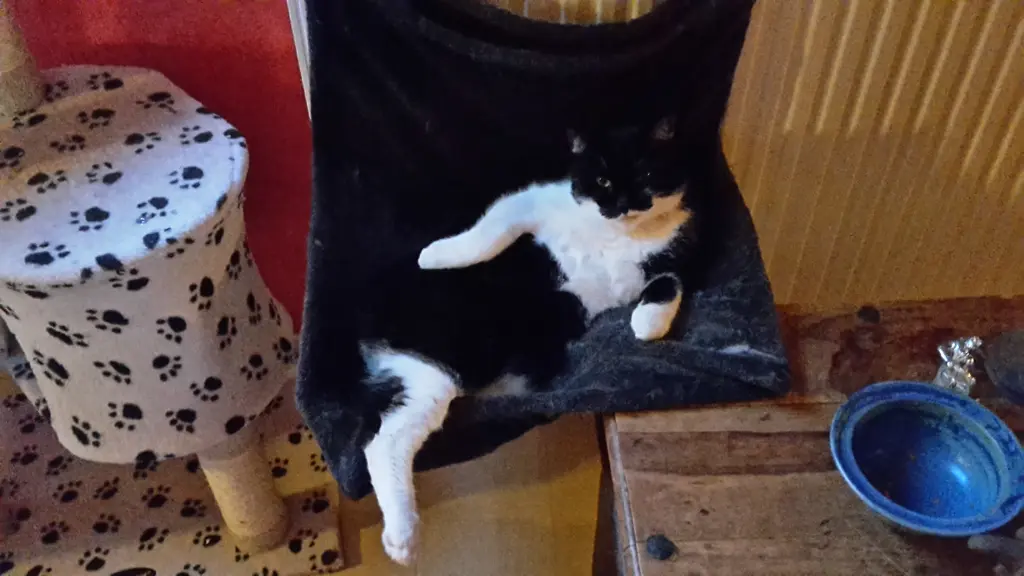 der liebste Kuschelplatz