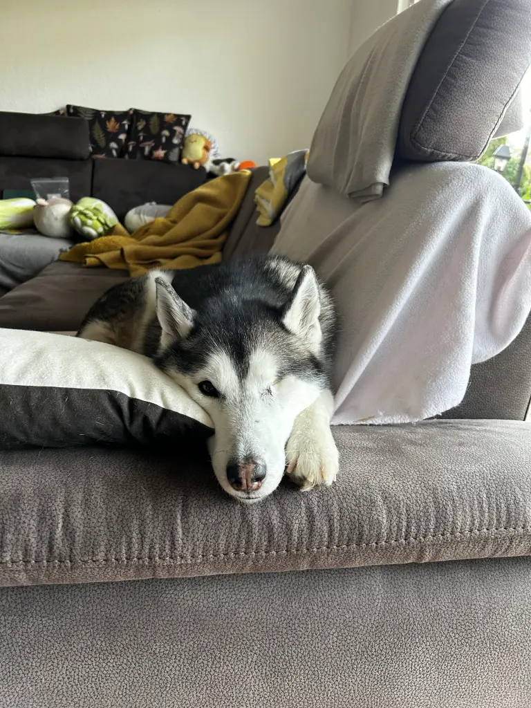 Andachtsbild von Anna