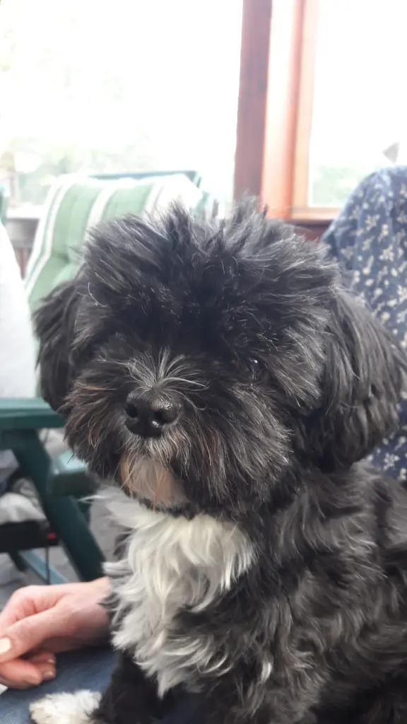 Andachtsbild von Jana