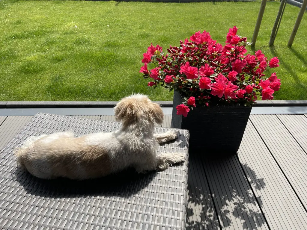 Andachtsbild von Gisela Brockmann