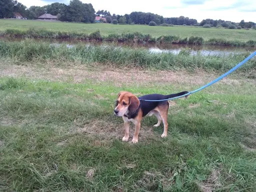 Andachtsbild von Markus Lippert