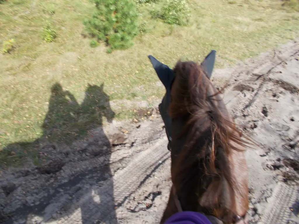 Andachtsbild von Annette und Luki