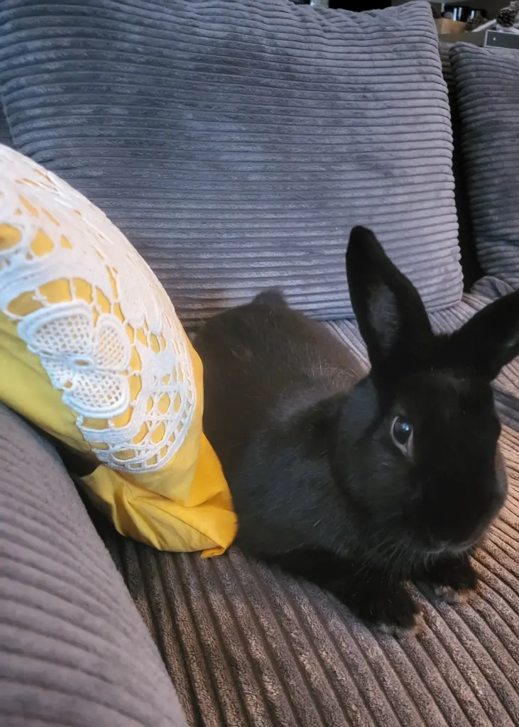 Andachtsbild von Susann Rabe-Buchholz