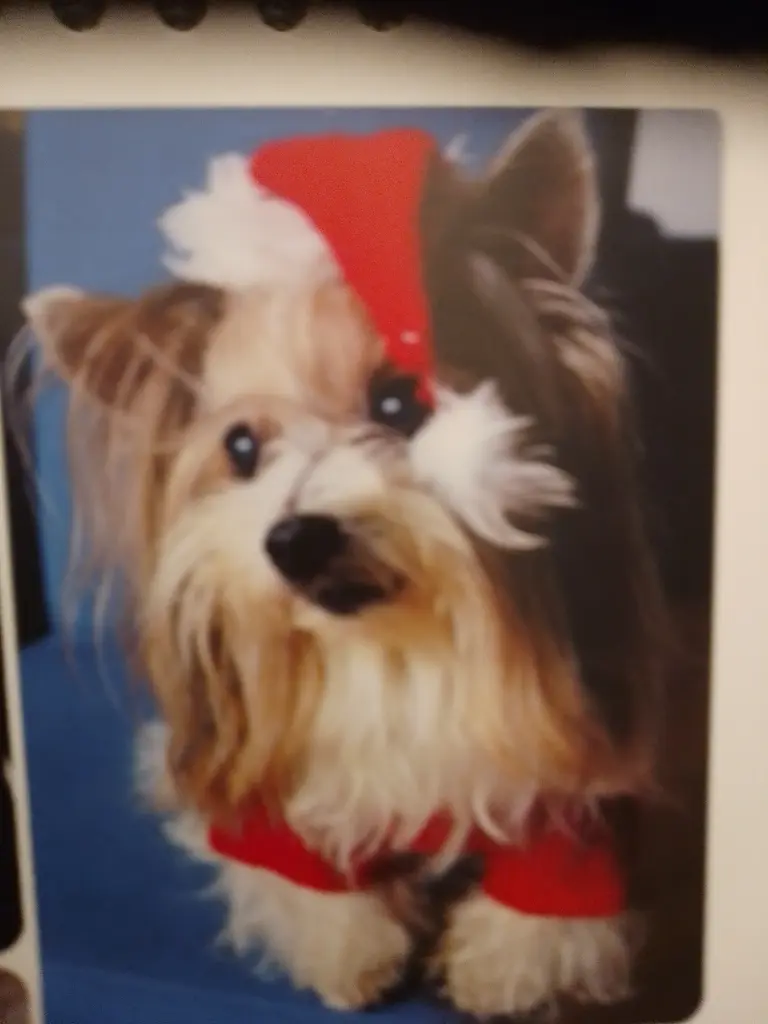 Andachtsbild von Konny mit Piccolino-Fly tief im ❤️