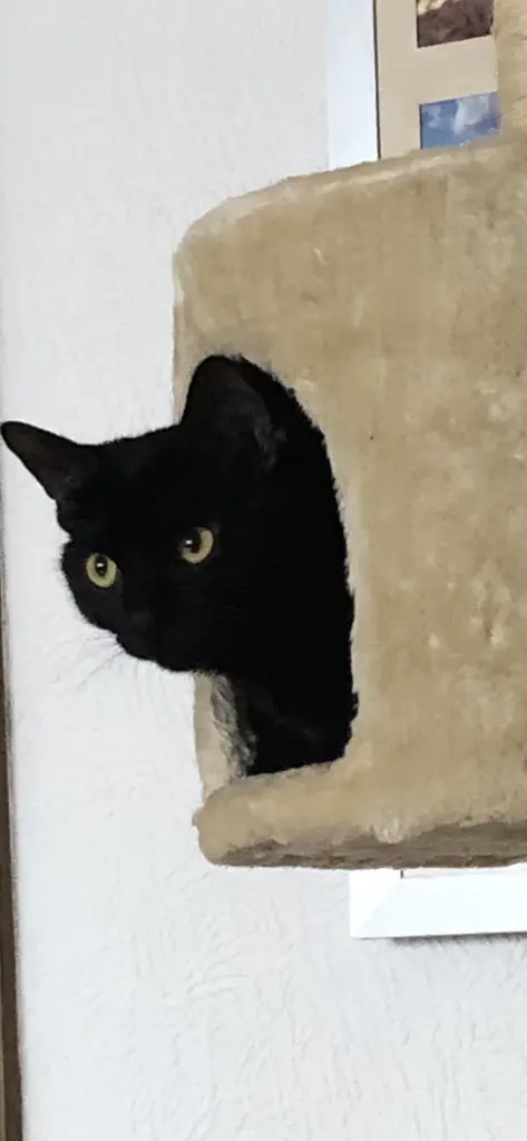 Andachtsbild von Markus Sitko