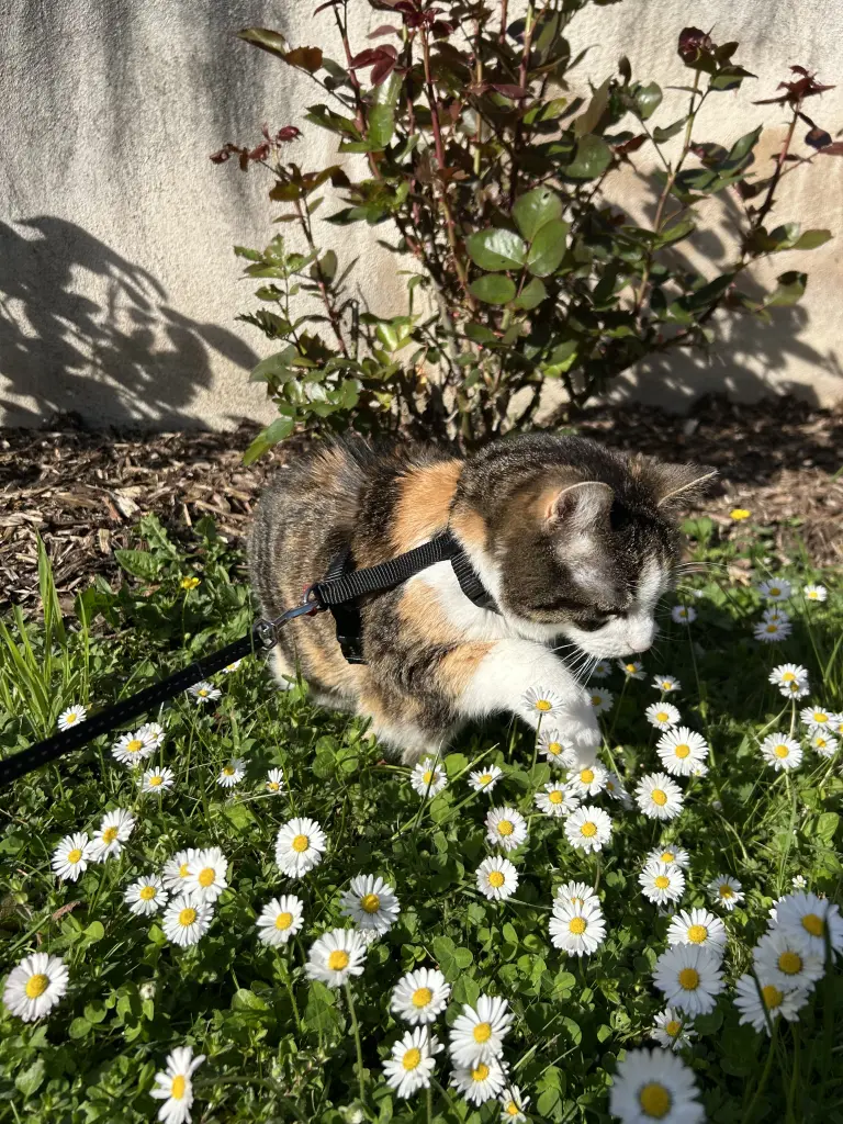 Condolence image of Yasemin Barut