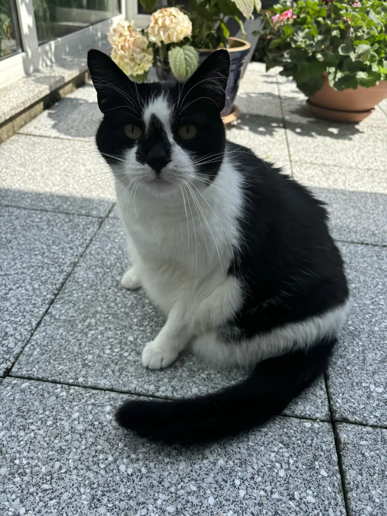 Andachtsbild von Elke Schreiber