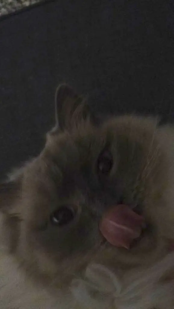 Andachtsbild von Mia Bazooband