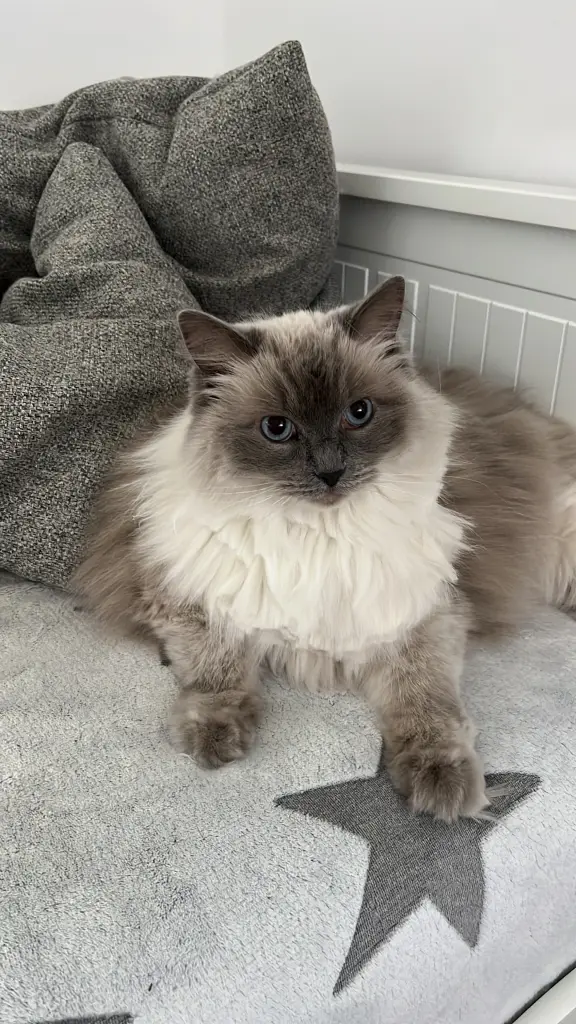 Andachtsbild von Wencke Mommsen