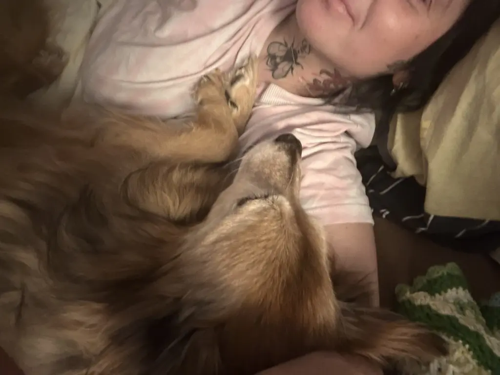 Andachtsbild von Dominique Lammers