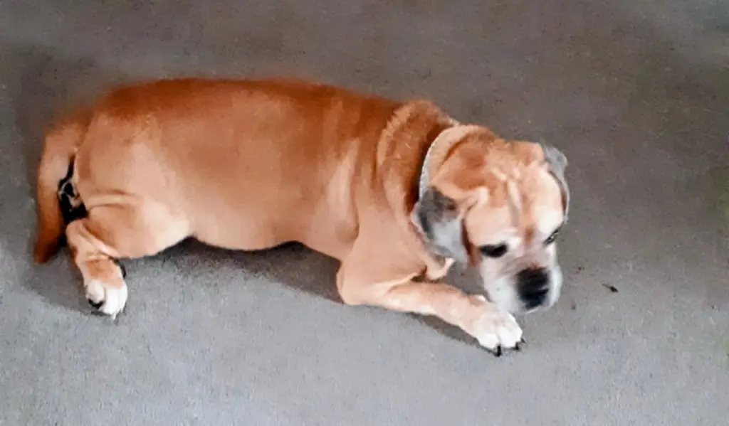 Andachtsbild von Peter Christoph Bremicker