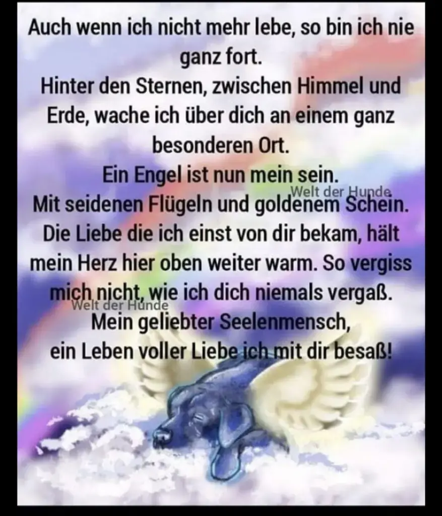 Condolence image of Konny mit Piccolino-Fly tief im ❤️