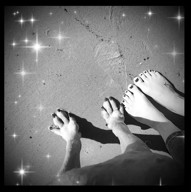 Image from Nelly