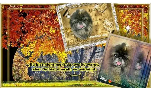Image from meine unvergessene Sina