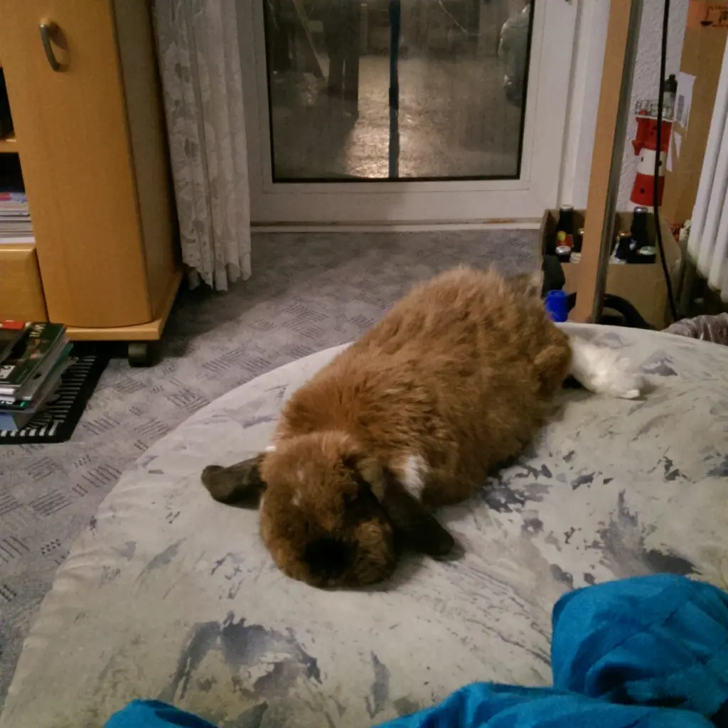 Andachtsbild von Andrea mit Schnuffi tief im ❤