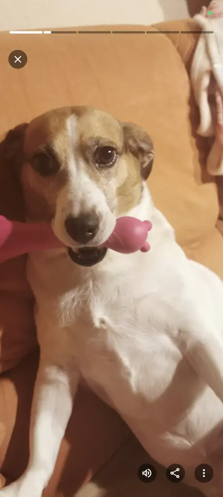 Andachtsbild von Monique