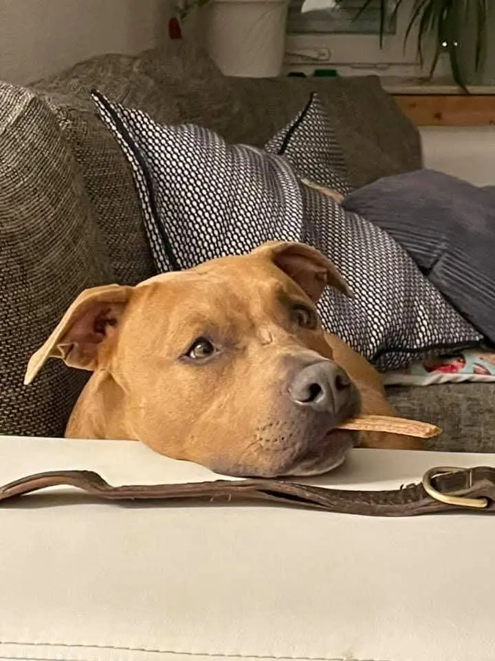 Andachtsbild von Aileen Saath