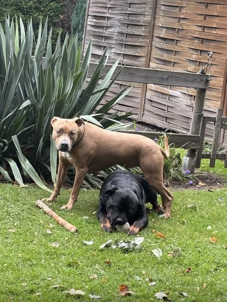 Andachtsbild von Frau Lotta