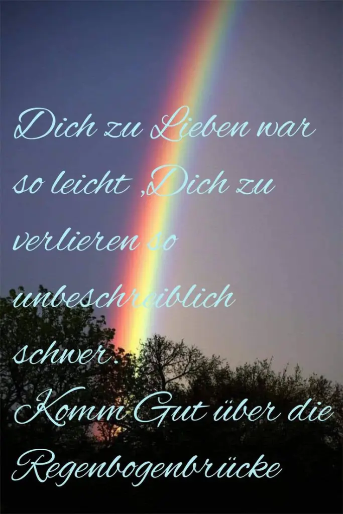 Andachtsbild von Irene mit JIMMY im Herzen ❤️ Gute Reise zu den Sternen ☆