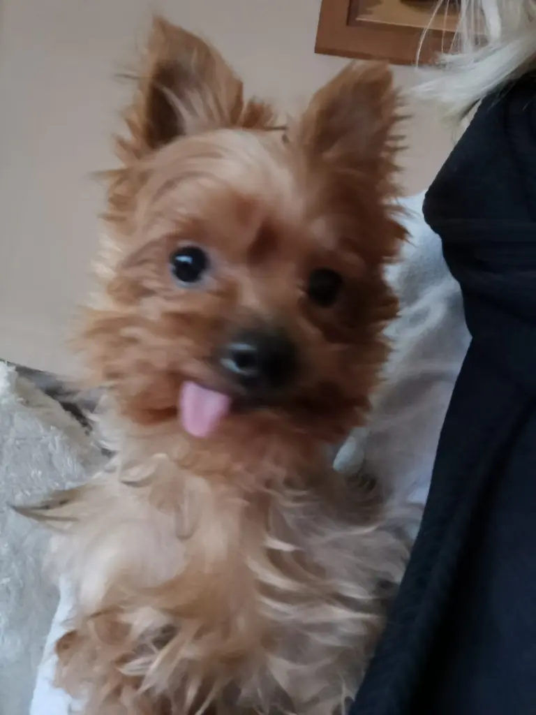 Andachtsbild von Jenny Hartmann