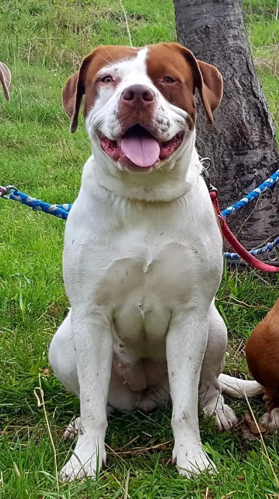 Bild von Gemma Teller