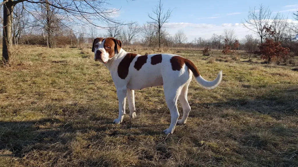 Bild von Gemma Teller