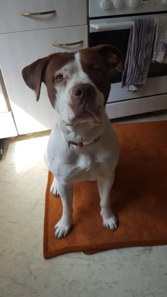 Bild von Gemma Teller