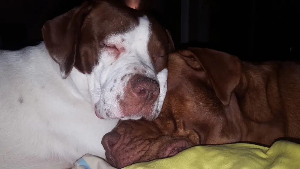 Bild von Gemma Teller