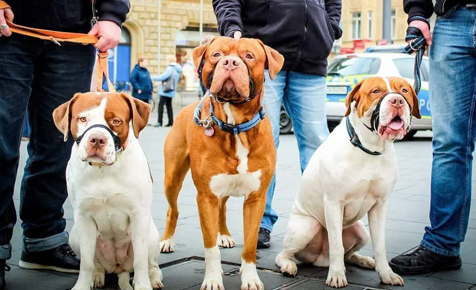 Nun seit ihr wieder vereint 😭
